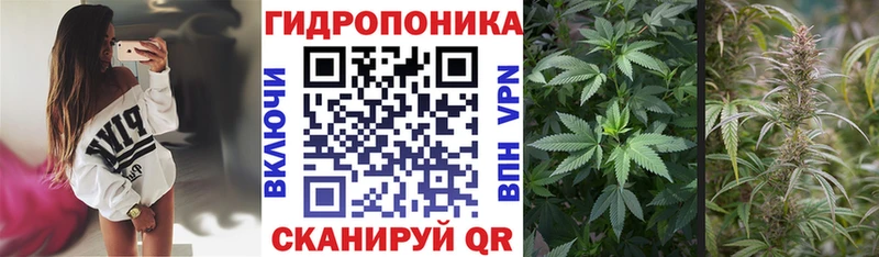 Купить наркотик аптеки Заволжск Амфетамин  кракен ССЫЛКА  Героин  A-PVP  Кокаин  Гашиш 