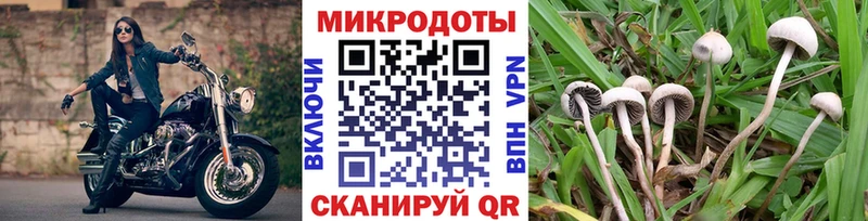 что такое   Заволжск  Галлюциногенные грибы прущие грибы 